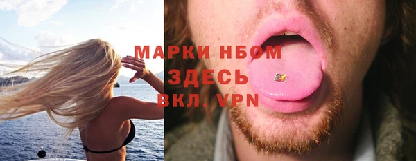 твердый Лагань