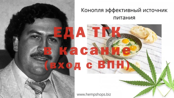 твердый Лагань