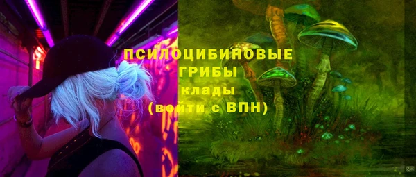 твердый Лагань