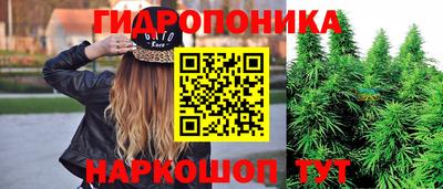 прущие крисы Ирбит