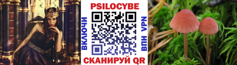 как найти   Вологда  Галлюциногенные грибы ЛСД 