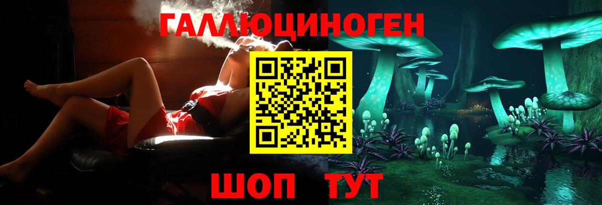 Вологда  Галлюциногенные грибы ЛСД  Вход с VPN 